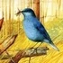 Art Birds Puzzle