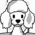 Pet Salon Doggy Days