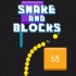 Snake And Blocks