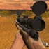 Zombie Sniping